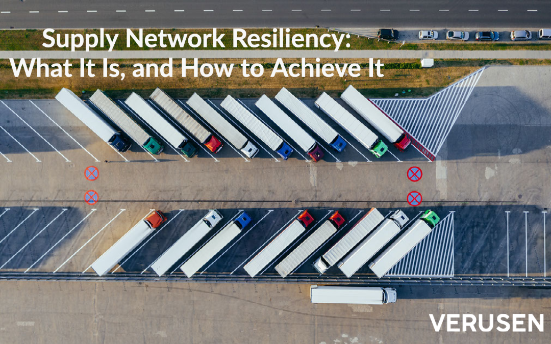 Supply Network Resiliency