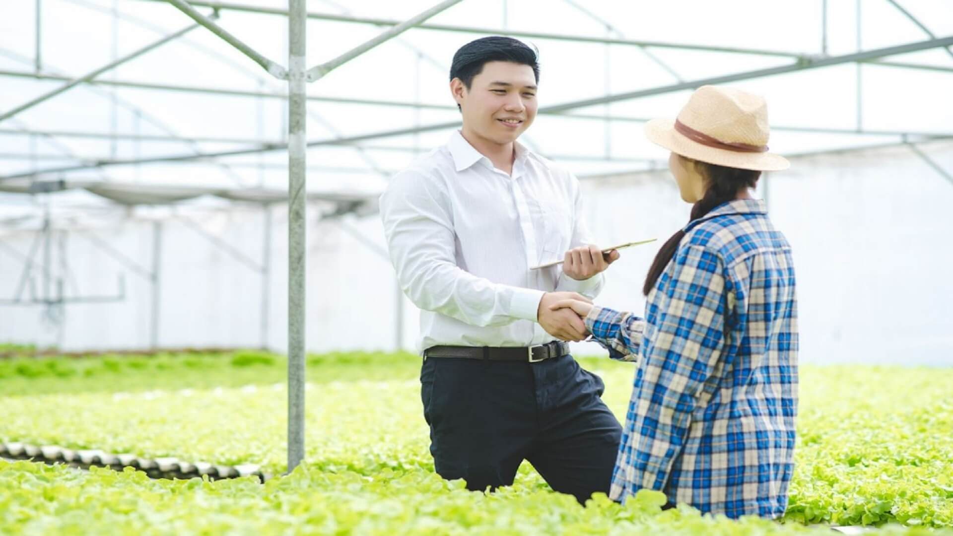 Food supply chain Food supply chain