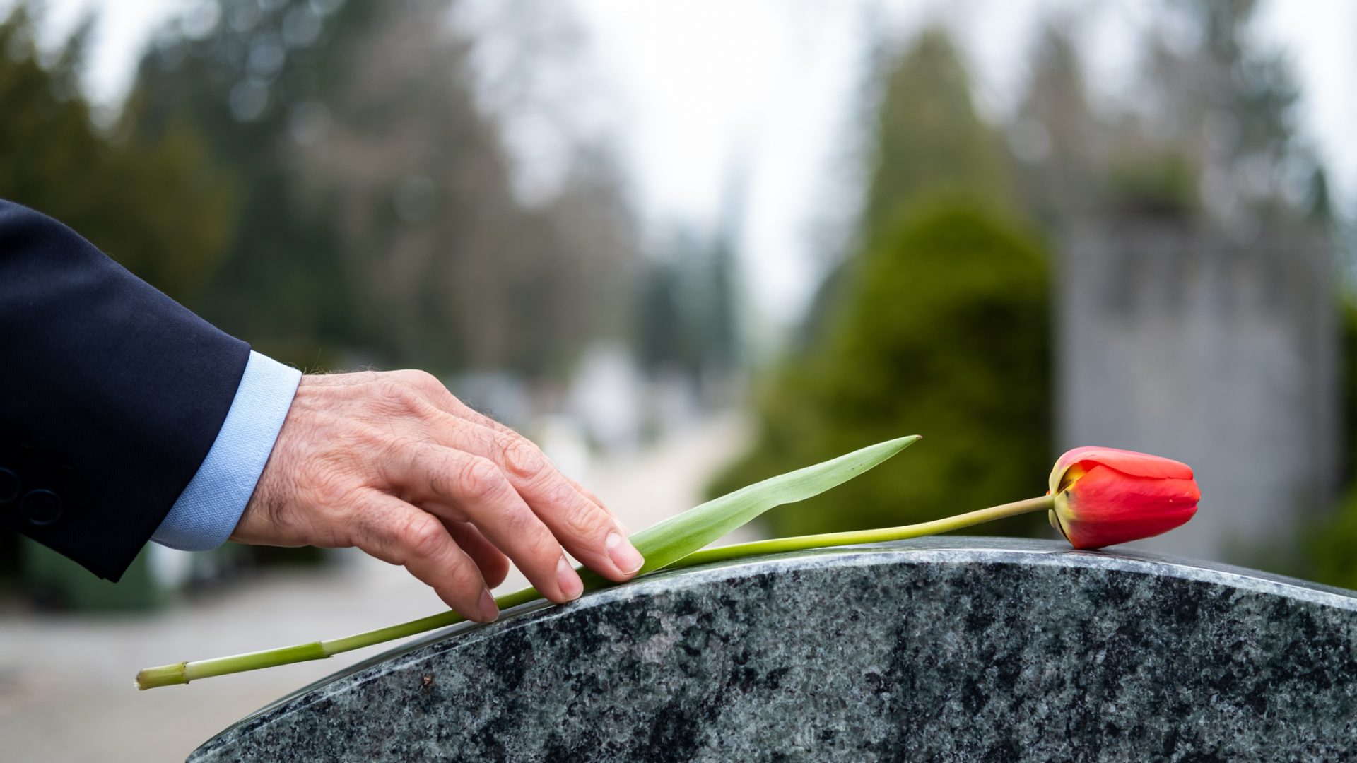 Death of the Data Cleanse Death of the Data Cleanse