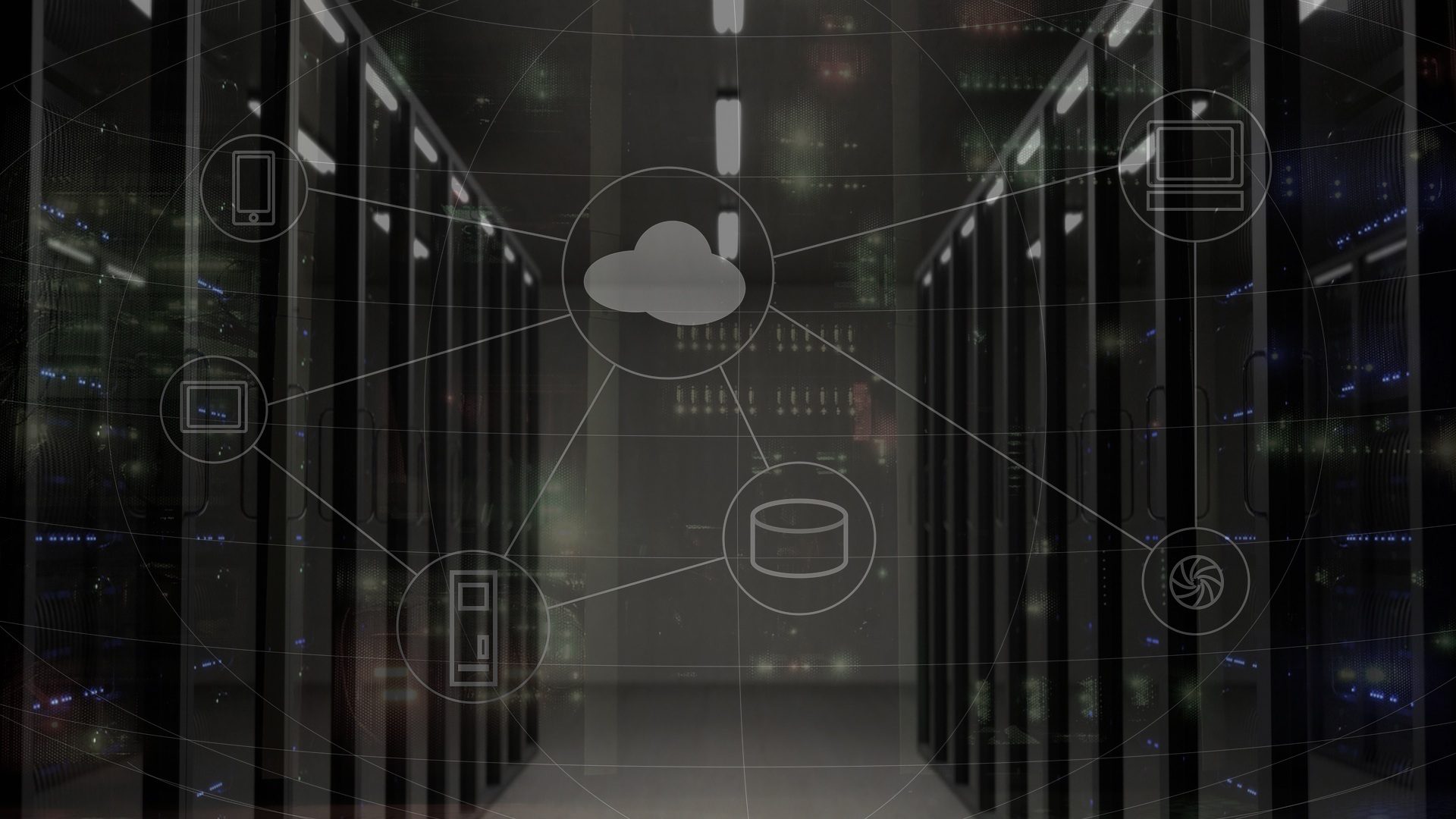 Supply Chain Digitization